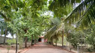 No : 142 Greenery Beach Farm House property 96.5 Cent For Sale Near pondicherry | 9626716274