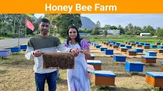 Honey Bee Farming | Vedic Hivery| Places to visit near Bangalore
