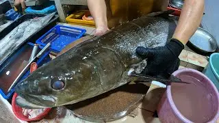 Processing Cobia and fillet #fish #seafood #fishcutting #fishcutting_skills #asmr