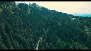 Drone  HD Forest road aerial view silch by IEPL studio
