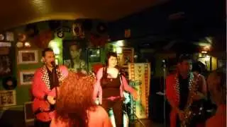 Pedrofon - Runaround Sue