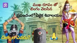 Srimukhalingam / History / Timings / Bus availability / All temples / Temples to Visit in Srikakulam