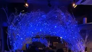 barbraginza 銀座バーブラ がライブ配信中！