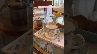 Trying tea worth ₹ 525😍 #tajhotels #tea #tajtea #expensivetea