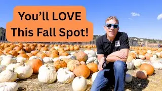 Best Pumpkin Patch in Monument, Colorado! | Fall Fun & Jarrito Loco Food Review 🌮🍂