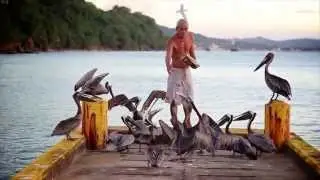 Harry The Pelican Whisperer