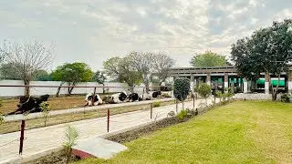 K&Z sires Semen Production Unit (SPU) GOJRA