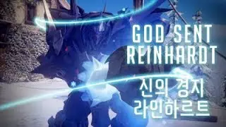 Rank One Reinhardt