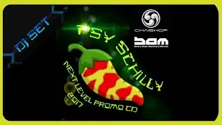 Next Level [Psytrance Mix]             by Psy Schilly [B.A.M. Rec.]