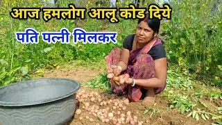आज हमलोग आलू कोड दिये पति पत्नी मिलकर #manitamahtovlogs  #ganvkilifestyle  