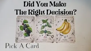 Did You Make The Right Decision? Pick A Card Tarot Reading