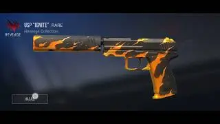как вам инвентарь за 4.57 голды
