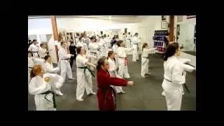 Shorinkan Family Karate - Watch this!