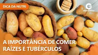 Benef&iacute;cios das Ra&iacute;zes e Tub&eacute;rculos - Dica da Nutri
