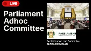 Live : Public Evidence in Parliament Ad Hoc Committee on Lt General Mkhwanazi allegations
