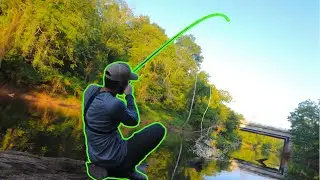 How To Catch TROPHY Bowfin In A River ( Tips and Techniques )