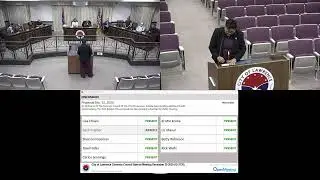 Common Council Special Meeting 12.29.25