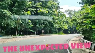 THE UNEXPECTED VIEW #107 ShirlJun Vlogs Aug. 15, 2021