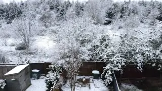snowfall 2020 birmingham | Ris kitchen| finally snow 2020| snow video uk