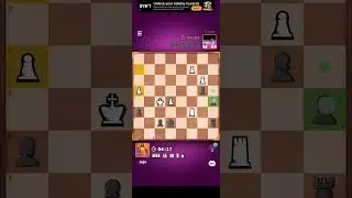 Master chess 52
