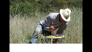 Symposia Series: Bee-lining  (21 March 2024)