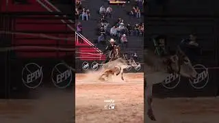 Team Roping Power Ropes - Jorge Cury
