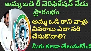 Amma vodi scheme re-verification process explained in detailed/TIC