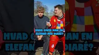 REKLAME - Alpaka-dyst med S&aelig;lma, ​⁠@MrSpyplant og Mette! Se hele ReeParks video lige nu p&aring; Flimmer!🦙