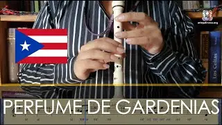 Perfume de gardenias - Flauta dulce