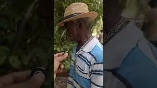 MACHADÃO FALA QUE ESTÃO FAZENDO FE¥T¥Ç0 PARA AS CRIANÇAS NAO SER ENCONTRADAS.