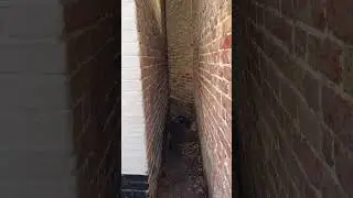 Come and explore Whitstable with me and it's 25 alleyways! Here is just a snippet - how many can you