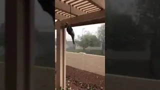 Monsoon 2018