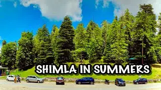 Shimla In Summer season | Shimla in summer |