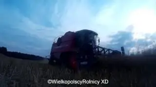 Rzepak 2016 |Case & Massey Ferguson| HIT