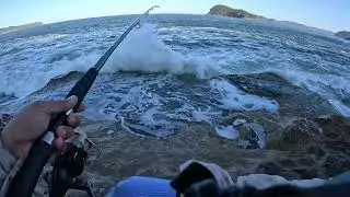 Afternoon Jigging at Central Coast NSW | Silver Lure Action