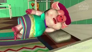 La chancha Do&ntilde;a Pancha, durmiendo por 10 minutos