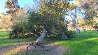 Riverside CA News - High Winds - Southern California Weather