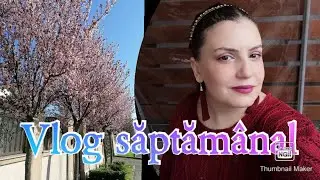Vlog săptăm&acirc;nal/Chef Ali in acțiune/Activitati de weekend