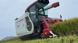 ヤンマーコンバインYH7135 実演！