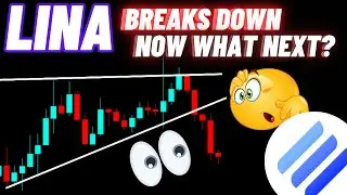 Linear Finance LINA Breaks Down | Now What Next?