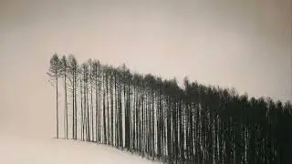 Seth Horvitz - Study No 4, 14, 21 x Masomenos - The Sound Of The Earth Part 1 (Rensen Edit)