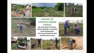 Green Planet Society's 1st Urban Forest Project at Gazipur Road, Zirakpur.  Punjab (India).