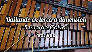 Bailando en tercera dimensión (Primera voz)
