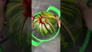 Watermelon slicer 🍉 Will it really cut?