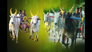 புளியங்குளம் பூஞ்சிட்டு 2⚡️ரேக்ளா பயலுக's broadcast