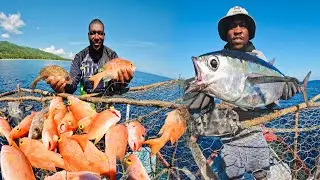 💥 Потрясающий день в море! Глубоководная ловля люциана и тунца во время троллинга! 🐟🔥