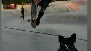 Monday motivation... Keep going... #💯💀💀💀  Practicing to clean it up and go higher ⬆️ #skateclips