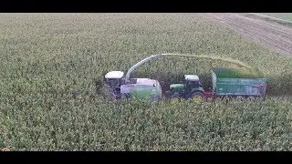 Big Corn Silage  | Sil&aacute;že 2017 | ZEAS Podorlicko Trnov