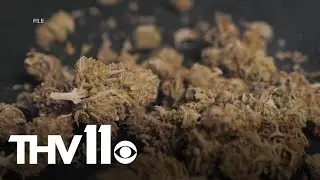 Gov. Sanders vetoes medical marijuana delivery bill