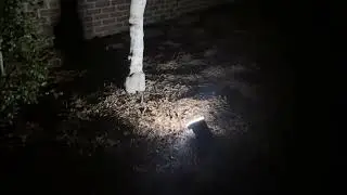 Solar Outdoor Waterproof Spotlights- how these look 11 hours after the sun went down!